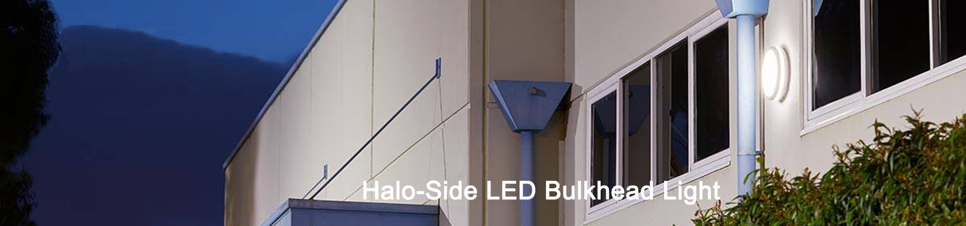 Halo Side LED Bulkhead Lighting