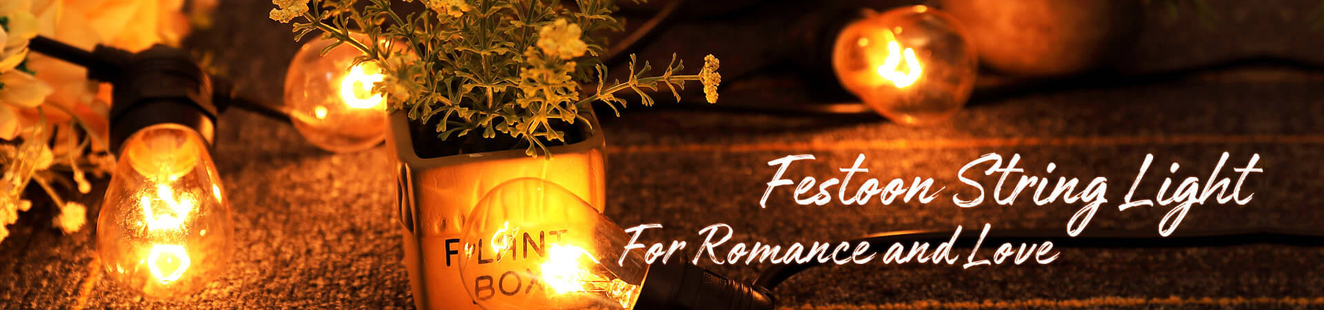 Festive Decorative Festoon String LED Lighting